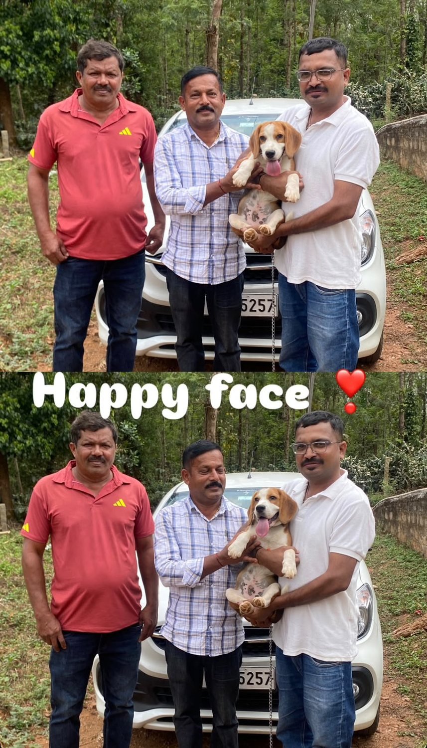 Cimarron Kennel puppy handover in the coffee estates of Chikmagalur