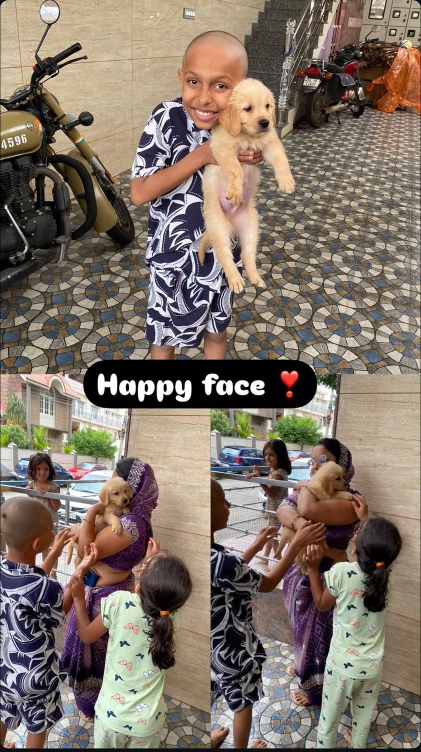 Family receiving their new Golden Retriever puppy